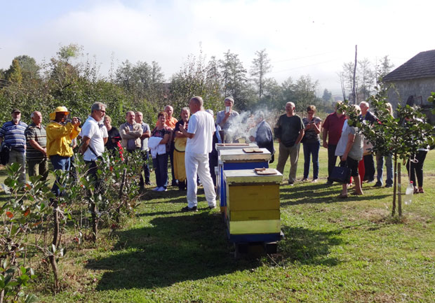 Медом лече и душу и тело